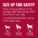 Kong Goodie Bone - Image 4