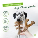 Bacon Wishbone/Fishbone Dog Toy, Medium, Pack of 2 - Image 4