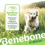 Wishbone & Dental Chew Bacon Flavor, Medium Pack of 2 - Image 3
