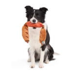Lickin’ Links Plush Tug Dog Toy - Image 2
