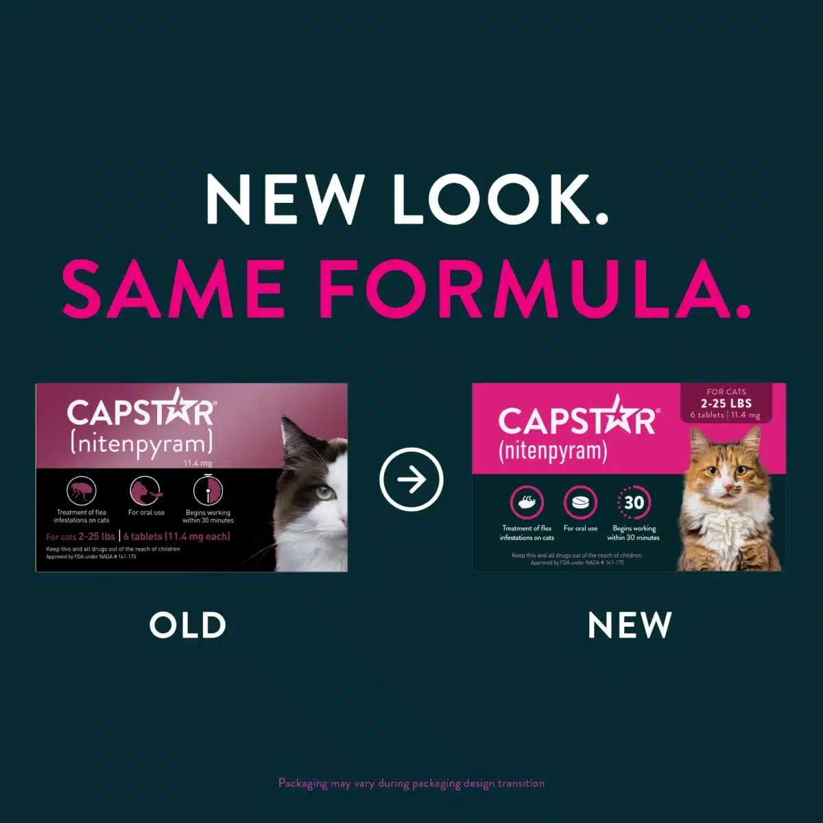 CAPSTAR® (nitenpyram) Oral Flea Treatment for Cats - 6 Doses - Image 2