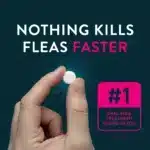 CAPSTAR® (nitenpyram) Oral Flea Treatment for Cats - 6 Doses - Image 3