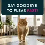 CAPSTAR® (nitenpyram) Oral Flea Treatment for Cats - 6 Doses - Image 8