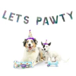 Pet Celebration Banner Lets Pawty Iridescent - Image 2