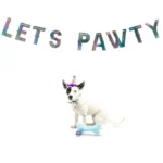 Pet Celebration Banner Lets Pawty Iridescent - Image 3