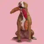 Lickin’ Links Plush Tug Dog Toy - Image 5