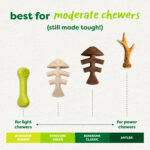 Green Fishbone - Image 4