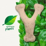 Green Wishbone Bacon Flavor - Image 2
