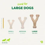 Green Wishbone Bacon Flavor - Image 5