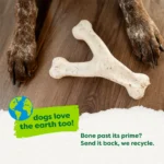Green Wishbone Bacon Flavor - Image 6