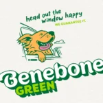 Green Wishbone Bacon Flavor - Image 8