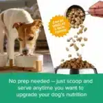 Nature's Blend Sensitivity Select Small Bites Freeze-Dried Raw Dog Food, 16-oz - Image 4