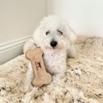 Natural Leather Bone Dog Toy - Image 4