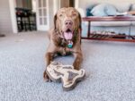 Natural Leather Big Jr 9" Dog Toy - Image 7