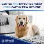 OxyMed Enzymatic Paw Odor and Itch Pet Spray - Image 6