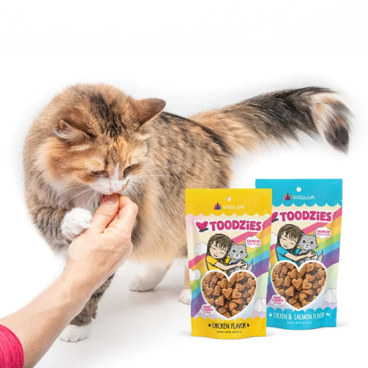 Crunchy Chicken & Salmon Cat Treats, 2 oz. - Image 8
