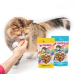 Crunchy Chicken & Salmon Cat Treats, 2 oz. - Image 8