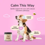 Daily Calm Supplement - Image 2