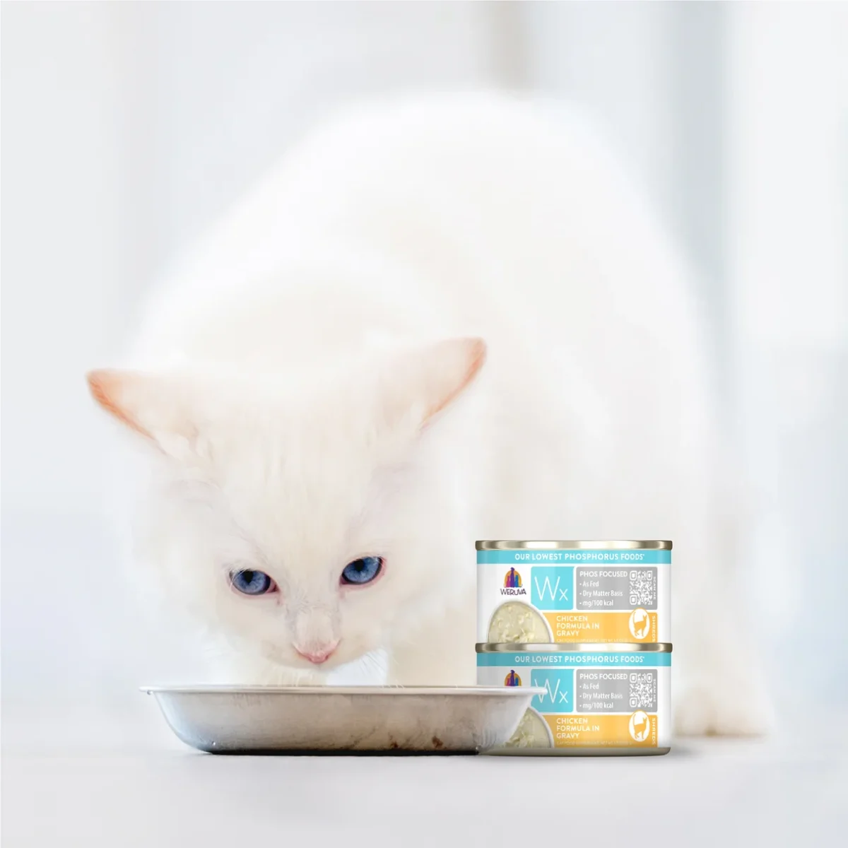 Weruva Wx Phos Focused  Chicken Formula in Gravy - Image 9
