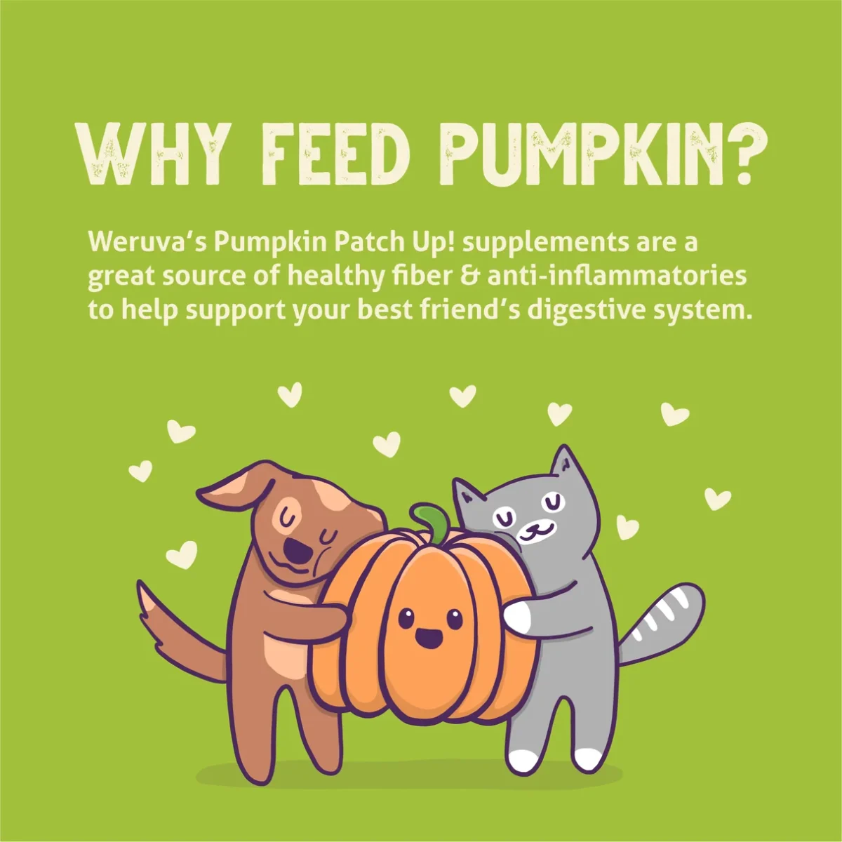 Dog & Cat Pumpkin Patch Up! Puréed Pumpkin Pouch - Image 7