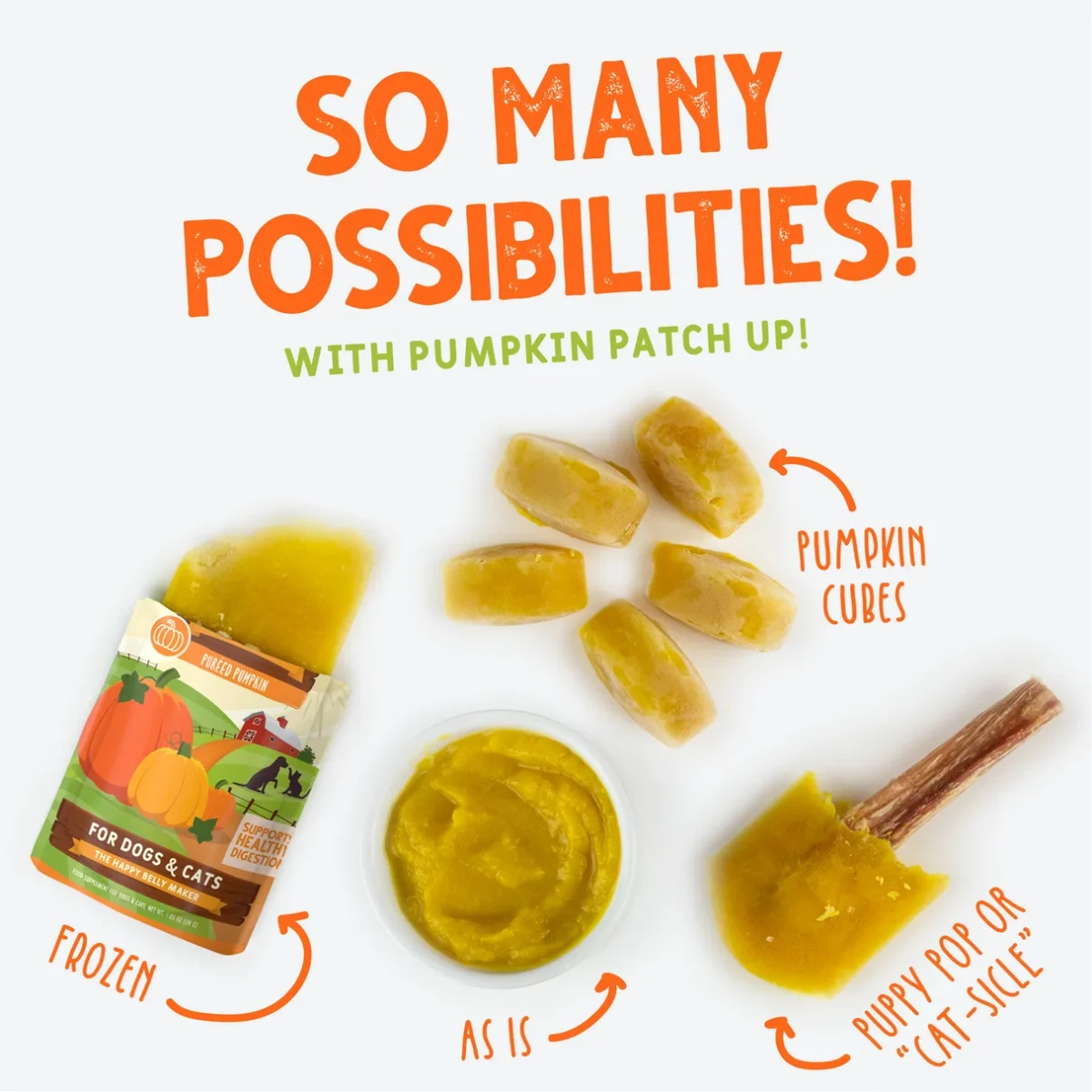 Dog & Cat Pumpkin Patch Up! Puréed Pumpkin Pouch - Image 6
