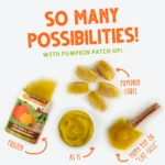 Dog & Cat Pumpkin Patch Up! Puréed Pumpkin Pouch - Image 6