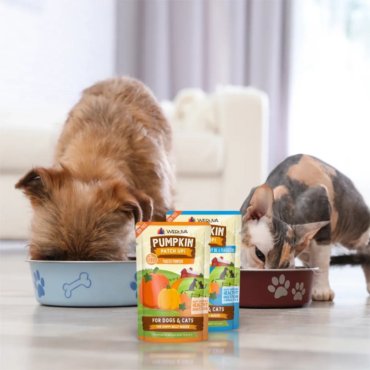 Dog & Cat Pumpkin Patch Up! Puréed Pumpkin Pouch - Image 8