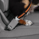 Direct to Seatbelt Swivel Tether - Image 5