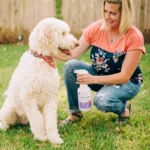 Rosemary Flea & Tick Spray for Pets + Home with Natural Essential Oils - Image 4