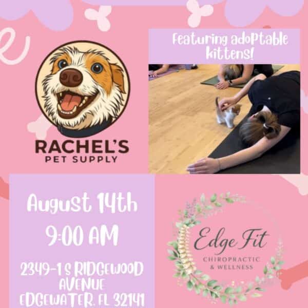 August 14th Kitten Yoga