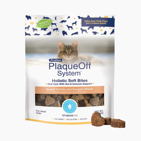 Holistic Soft Bites - Oral Care with Gut & Immune Support Sweet Potato and Pumpkin Flavor