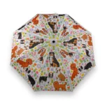 Umbrellas
