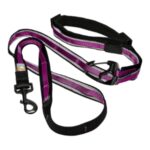 Quantum Leash 2.0 - Image 8