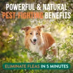 TropiClean Natural Flea + Tick Home + Dog Spray, 32oz - Image 4