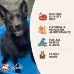 Diner Favorites Bella's Beef Barkundy Stew Wet Dog Food - Image 3