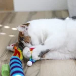 Quirky Kitty Cat Toy Birthday Box 8 pc - Image 10