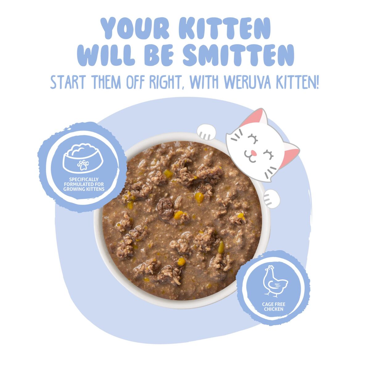 Chicken & Pumpkin Gravy 3 oz - Image 3