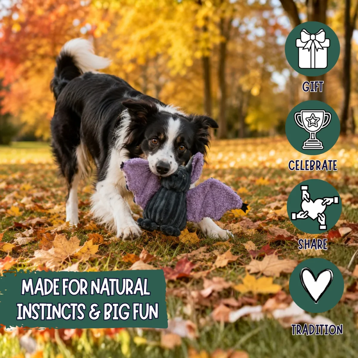 Baxter Bat Halloween Dog Toy - Image 2
