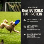 Freeze-Dried Raw Chicken Hearts - Image 5