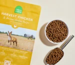 Harvest Chicken & Ancient Grains Dog Kibble - Image 5