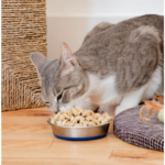 Nature's Feast Essential Wellness Beef, Salmon And Poultry Freeze Dried Raw Adult Cat Food - Image 3