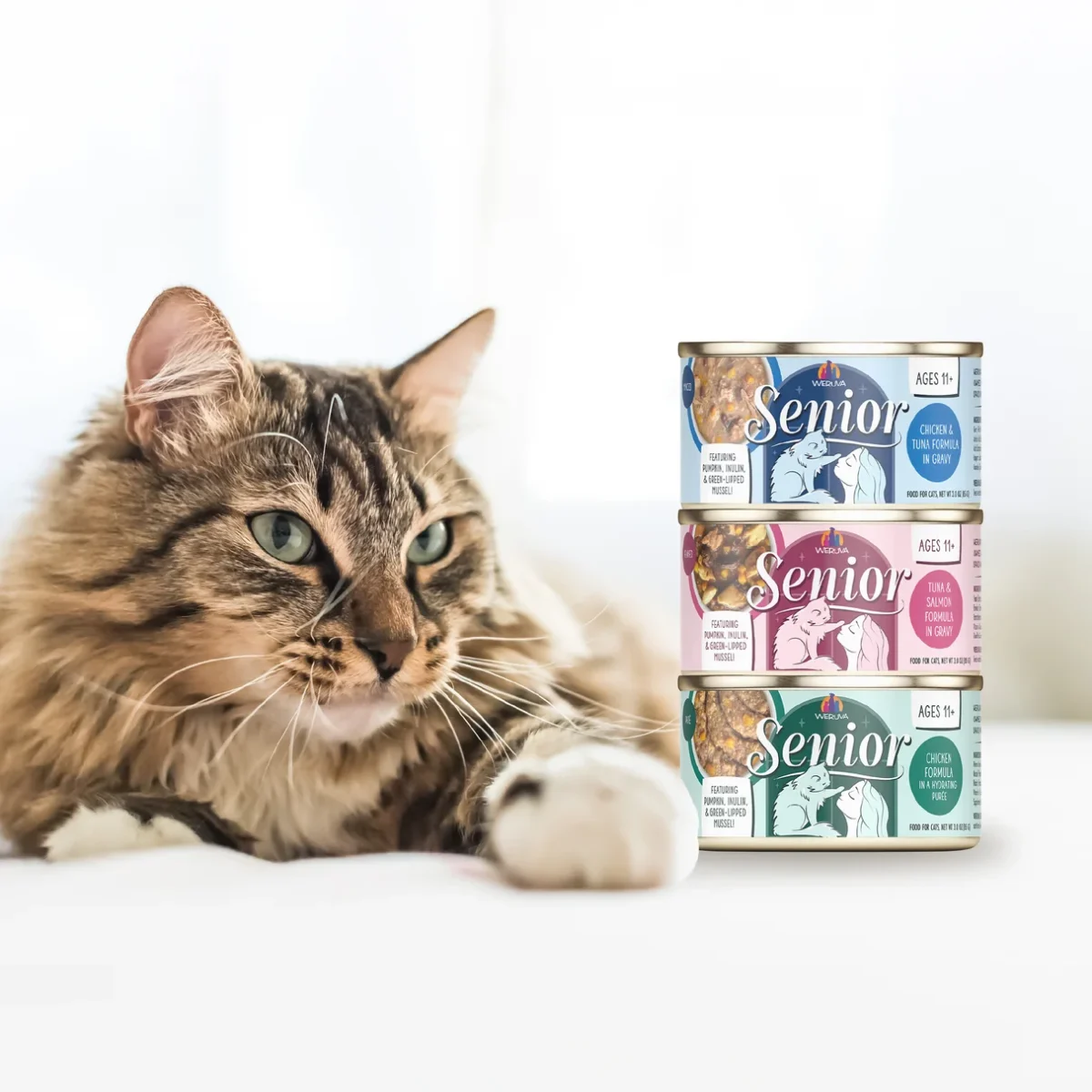 Senior Cat Chicken Formula in a Hydrating Purée - Image 7