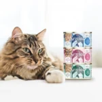 Senior Cat Chicken Formula in a Hydrating Purée - Image 7