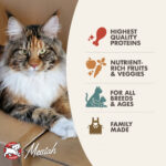 Four-Star Game Bird Recipe Dry Cat Food - Image 3
