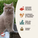 Four-Star Salmon Tunachovy® Recipe Dry Cat Food - Image 3