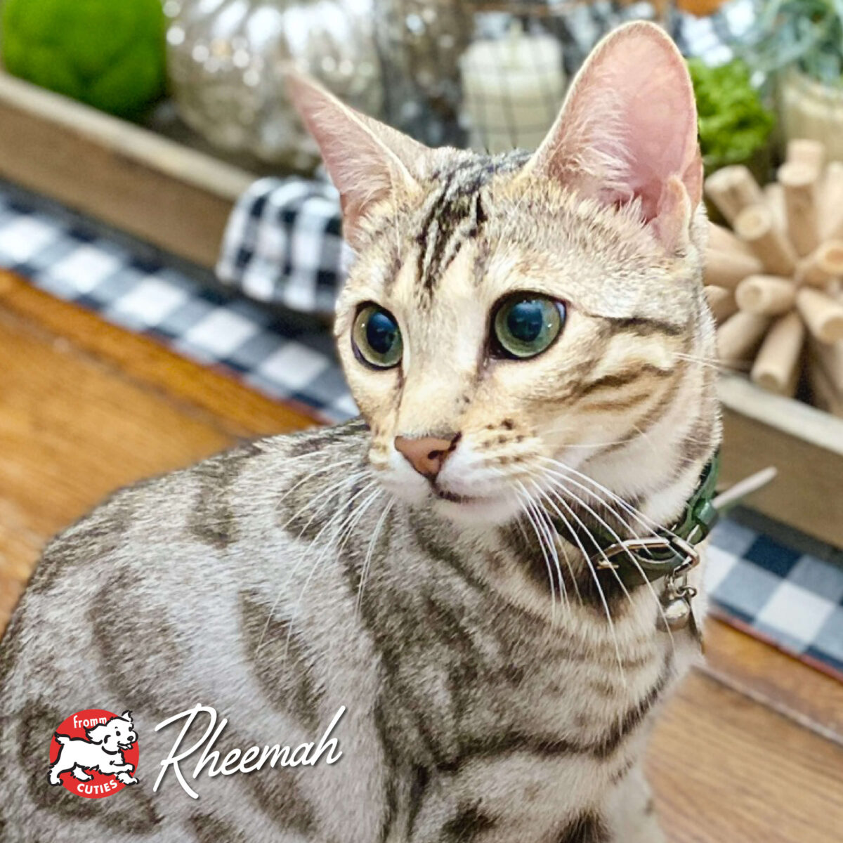 Four-Star Hasen Duckenpfeffer® Recipe Dry Cat Food - Image 8