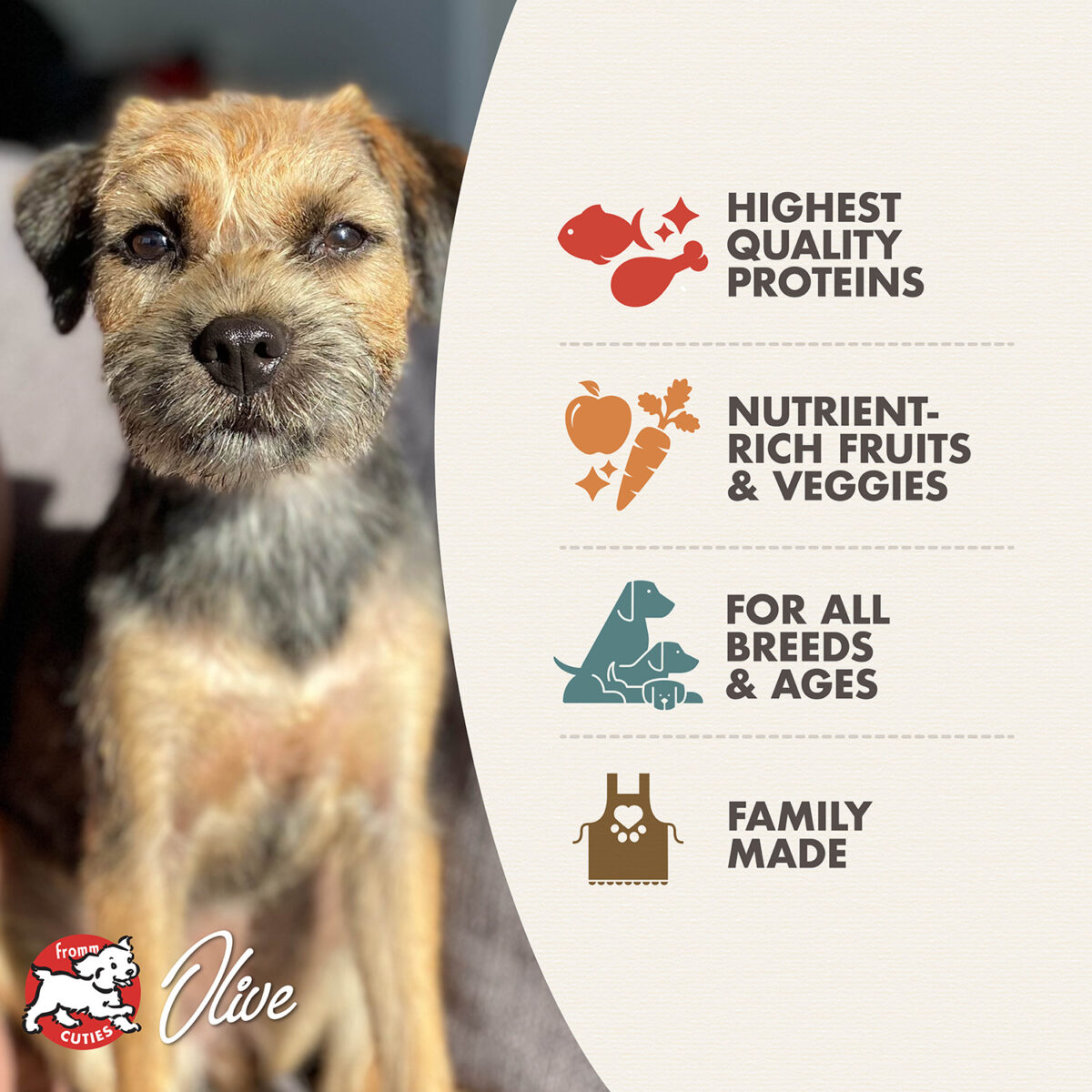 Four-Star Surf & Turf Recipe Dry Dog Food - Image 3