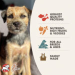 Four-Star Surf & Turf Recipe Dry Dog Food - Image 3