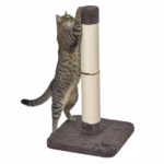 MidWest Homes for Pets Feline Nuvo Medium Forte Cat Scratching Post - Brio, 31-Inch Height - Image 5