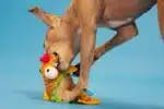 Ernesto the Fish Taco Orange Plush Dog Toy Extra Small / Small - Image 2